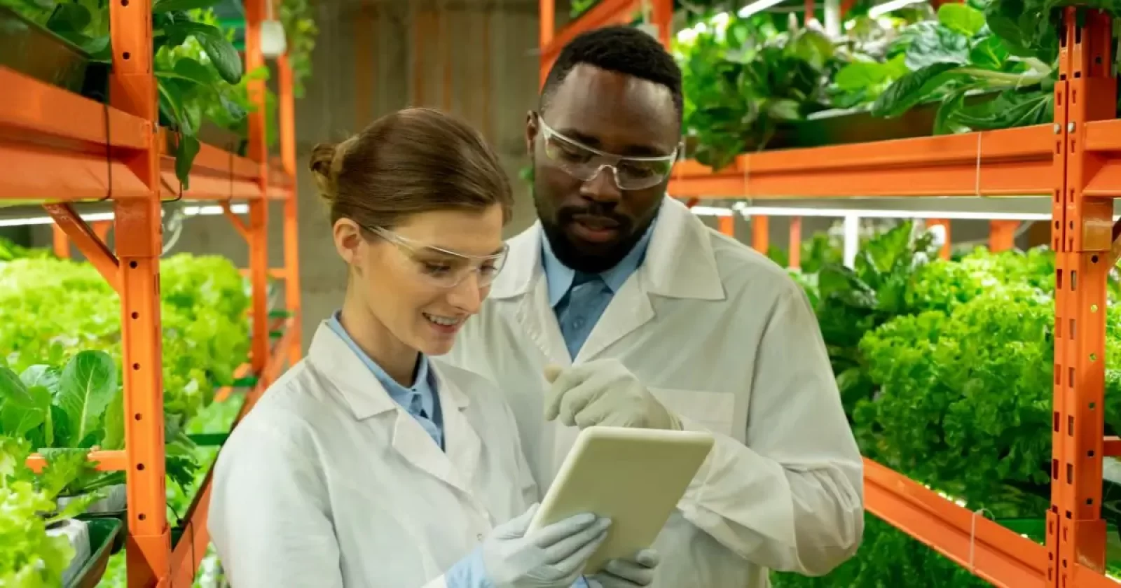 Environmental Control Officers Singapore- Proskill Workforce Pte Ltd.